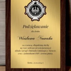 Dyplom złoto srebrny z pagonem