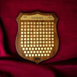 Tablica tablo dębowa herb do gwoździ pamiątkowych sztandar