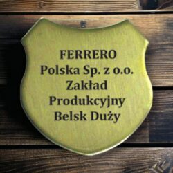 Gwóźdź płaski mosiężny na tablicę drewnianą kształt ROGI