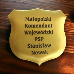 Gwóźdź płaski mosiężny na tablicę drewnianą kształt BOLD