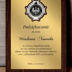 Dyplom złoto srebrny z pagonem